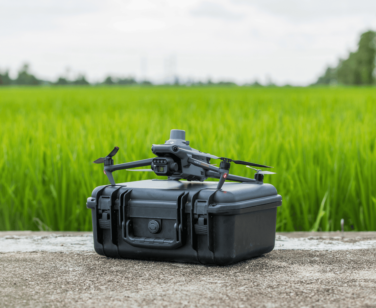 DJI Mavic 3 Multispectral Agrar-/Forstpaket